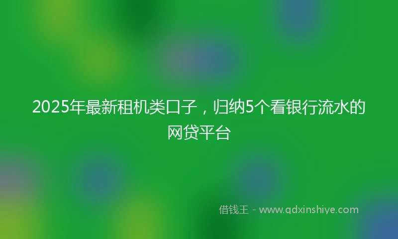 2025年最新租机类口子,归纳5个看银行流水的网贷平台