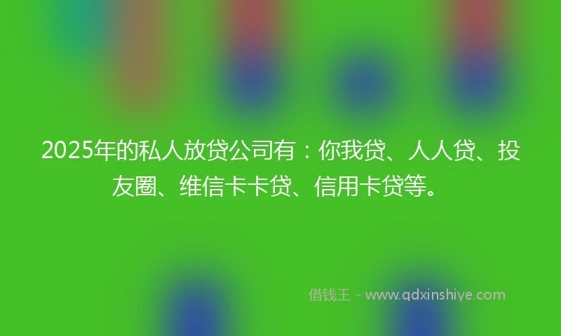 2025年的私人放贷公司有：你我贷、人人贷、投友圈、维信卡卡贷、信用卡贷等。