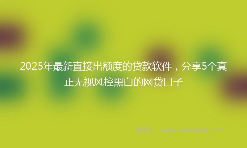 2025年最新直接出额度的贷款软件，分享5个真正无视风控黑白的网贷口子