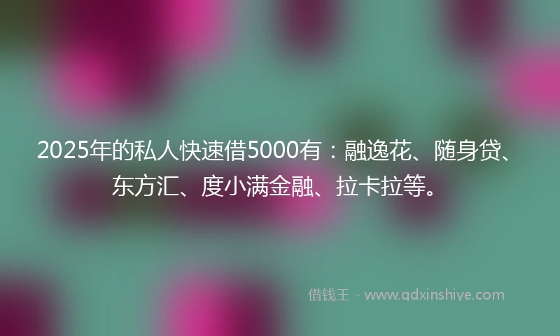 2025年的私人快速借5000有：融逸花、随身贷、东方汇、度小满金融、拉卡拉等。