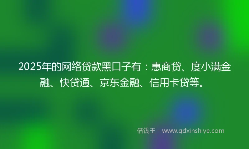 2025年的网络贷款黑口子有：惠商贷、度小满金融、快贷通、京东金融、信用卡贷等。