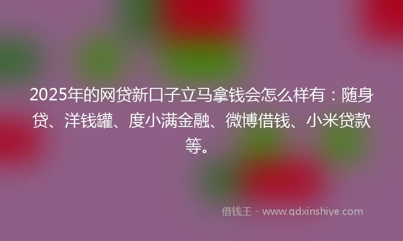 2025年的网贷新口子立马拿钱会怎么样有：随身贷、洋钱罐、度小满金融、微博借钱、小米贷款等。