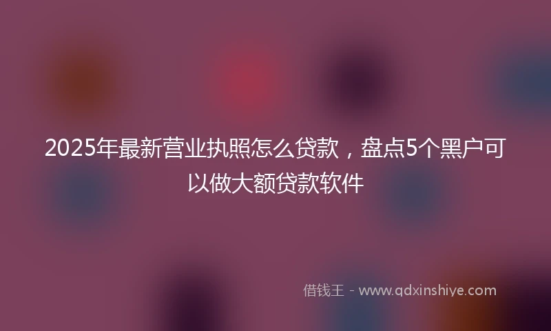 2025年最新营业执照怎么贷款，盘点5个黑户可以做大额贷款软件