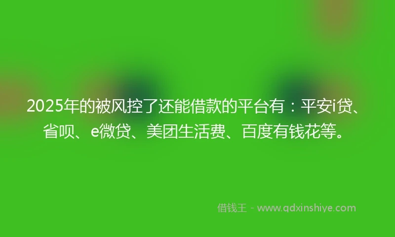 2025年的被风控了还能借款的平台有：平安i贷、省呗、e微贷、美团生活费、百度有钱花等。