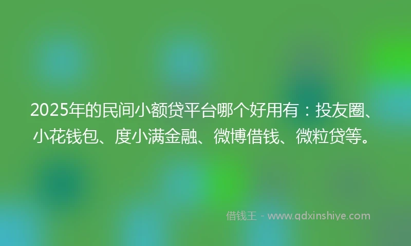 2025年的民间小额贷平台哪个好用有：投友圈、小花钱包、度小满金融、微博借钱、微粒贷等。