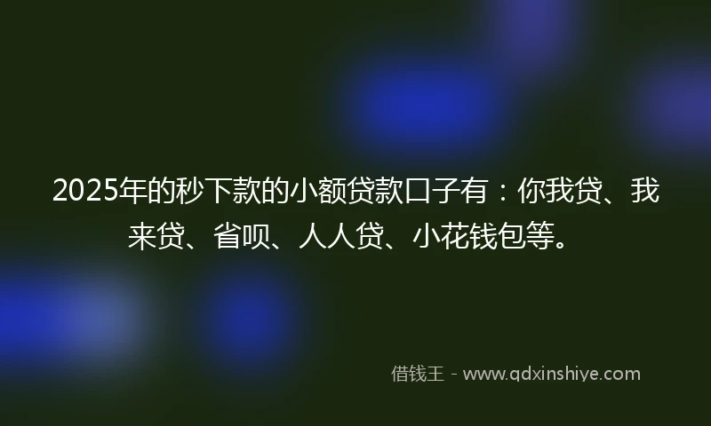 2025年的秒下款的小额贷款口子有：你我贷、我来贷、省呗、人人贷、小花钱包等。