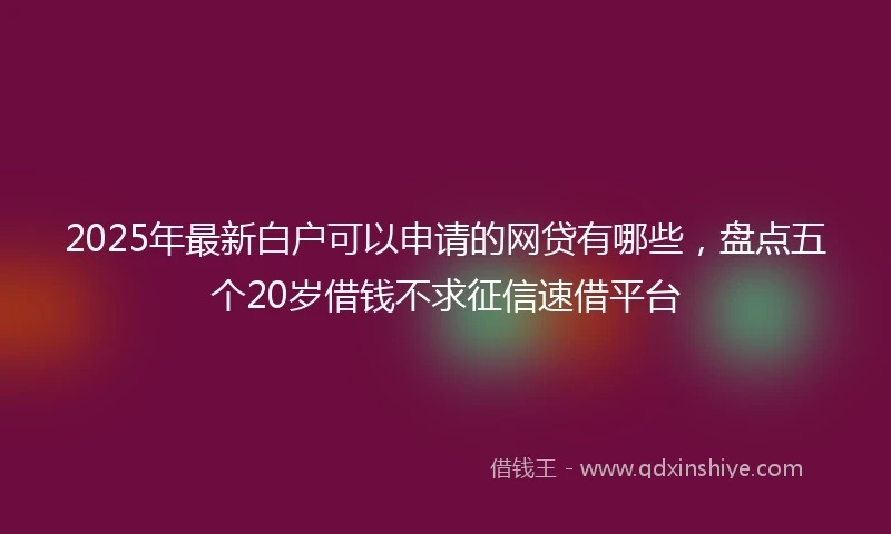 2025年最新白户可以申请的网贷有哪些，盘点五个20岁借钱不求征信速借平台