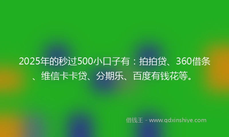 2025年的秒过500小口子有：拍拍贷、360借条、维信卡卡贷、分期乐、百度有钱花等。