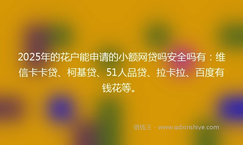 2025年的花户能申请的小额网贷吗安全吗有：维信卡卡贷、柯基贷、51人品贷、拉卡拉、百度有钱花等。