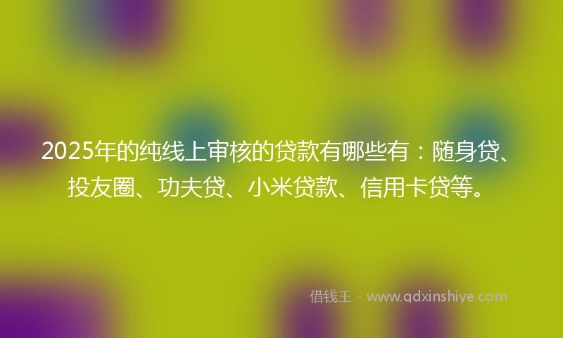 2025年的纯线上审核的贷款有哪些有：随身贷、投友圈、功夫贷、小米贷款、信用卡贷等。