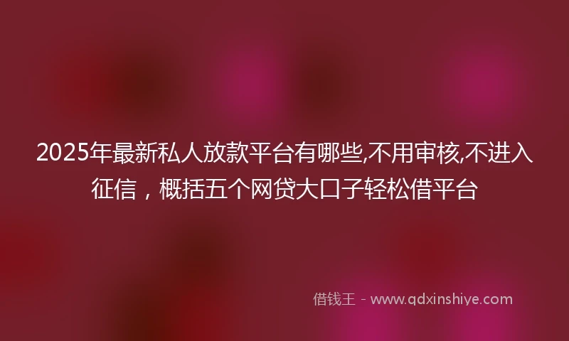 2025年最新私人放款平台有哪些,不用审核,不进入征信，概括五个网贷大口子轻松借平台