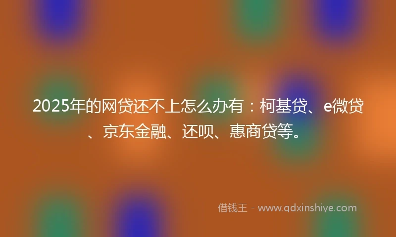2025年的网贷还不上怎么办有：柯基贷、e微贷、京东金融、还呗、惠商贷等。