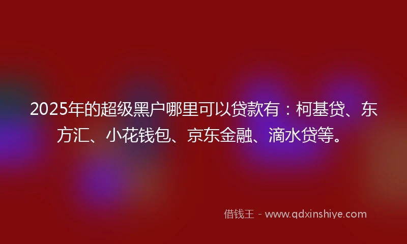 2025年的超级黑户哪里可以贷款有：柯基贷、东方汇、小花钱包、京东金融、滴水贷等。
