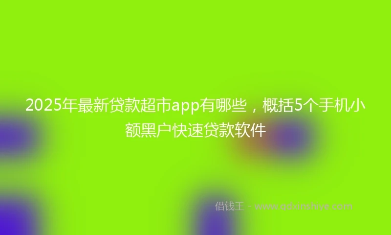 2025年最新贷款超市app有哪些，概括5个手机小额黑户快速贷款软件