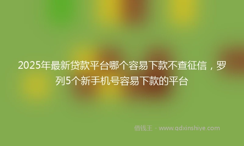 2025年最新贷款平台哪个容易下款不查征信，罗列5个新手机号容易下款的平台