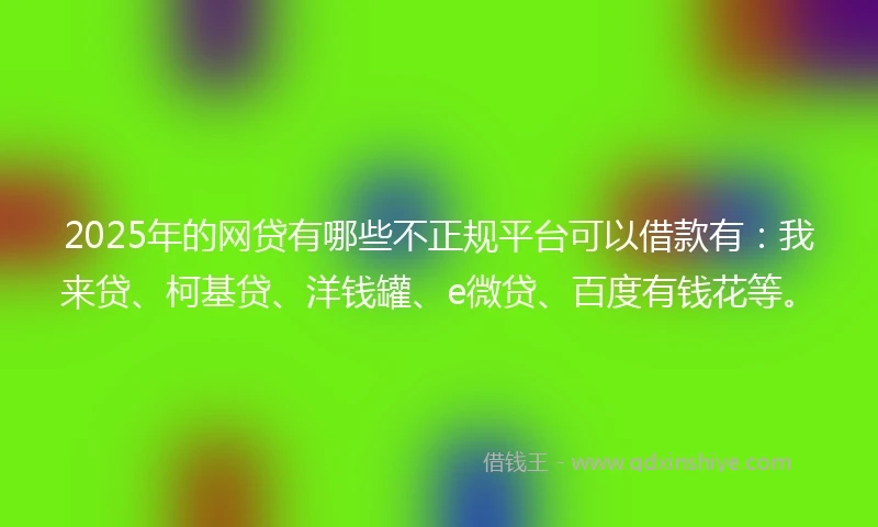 2025年的网贷有哪些不正规平台可以借款有：我来贷、柯基贷、洋钱罐、e微贷、百度有钱花等。