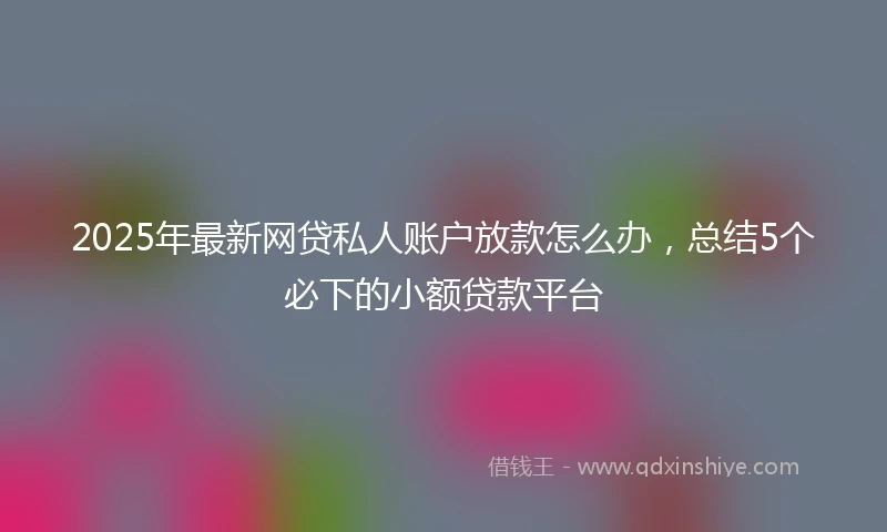2025年最新网贷私人账户放款怎么办，总结5个必下的小额贷款平台