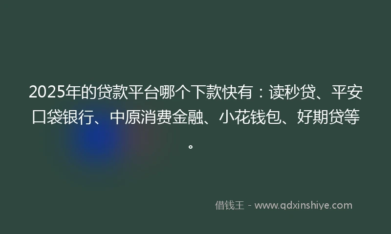 2025年的贷款平台哪个下款快有：读秒贷、平安口袋银行、中原消费金融、小花钱包、好期贷等。