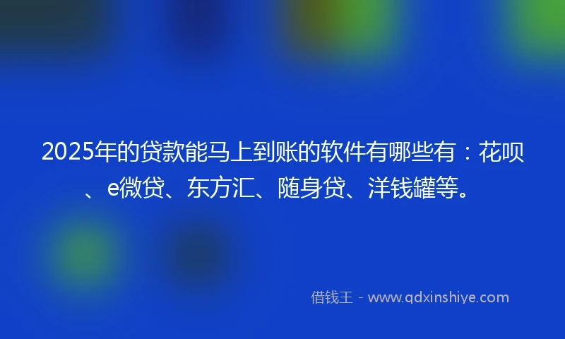2025年的贷款能马上到账的软件有哪些有：花呗、e微贷、东方汇、随身贷、洋钱罐等。