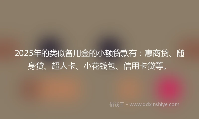 2025年的类似备用金的小额贷款有：惠商贷、随身贷、超人卡、小花钱包、信用卡贷等。