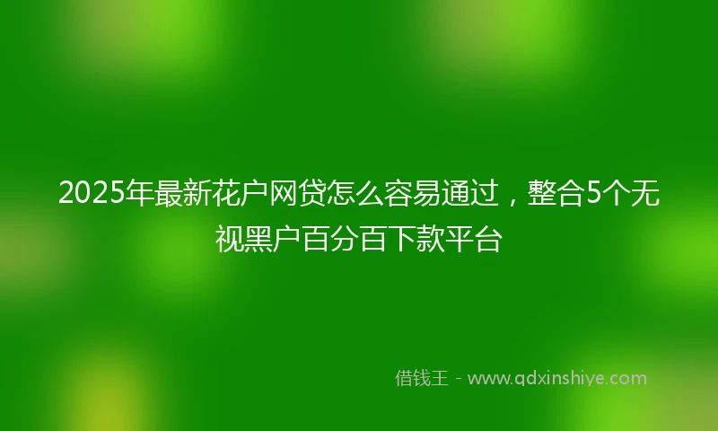 2025年最新花户网贷怎么容易通过，整合5个无视黑户百分百下款平台