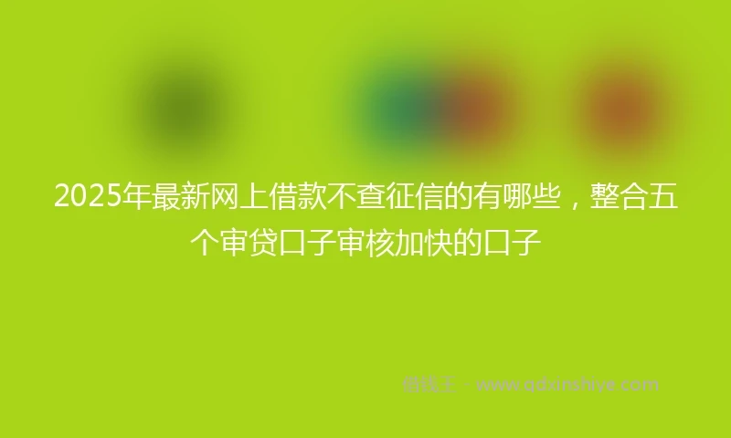 2025年最新网上借款不查征信的有哪些，整合五个审贷口子审核加快的口子