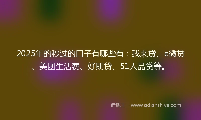 2025年的秒过的口子有哪些有：我来贷、e微贷、美团生活费、好期贷、51人品贷等。
