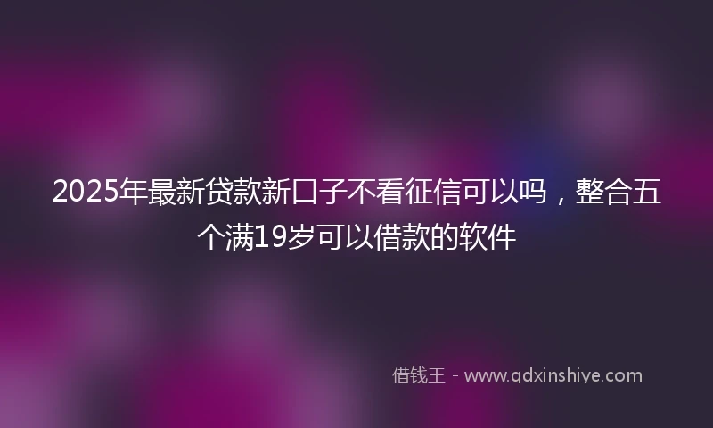 2025年最新贷款新口子不看征信可以吗,整合五个满19岁可以借款的软件