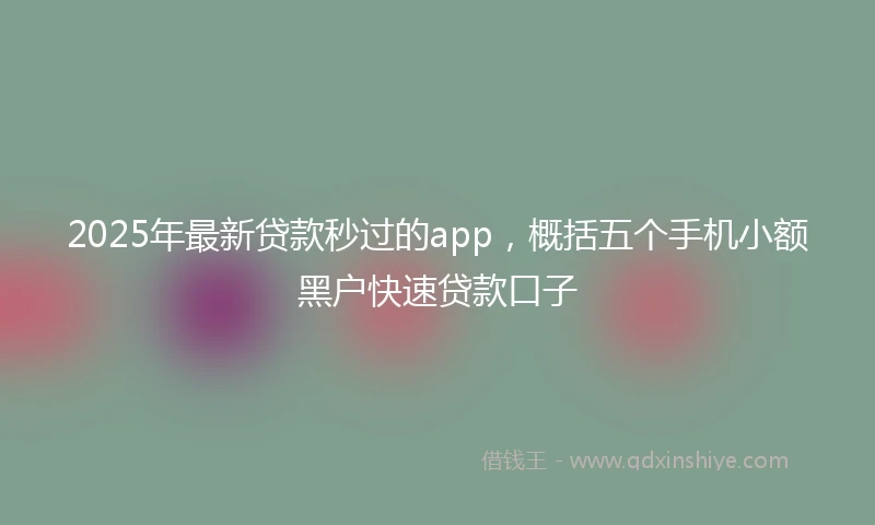 2025年最新贷款秒过的app，概括五个手机小额黑户快速贷款口子