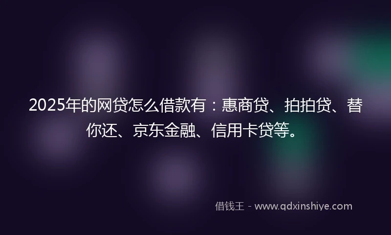 2025年的网贷怎么借款有：惠商贷、拍拍贷、替你还、京东金融、信用卡贷等。
