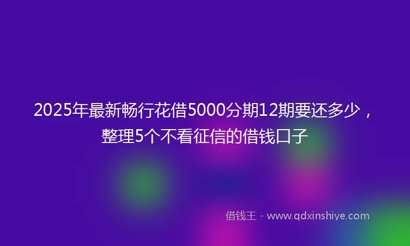 2025年最新畅行花借5000分期12期要还多少，整理5个不看征信的借钱口子