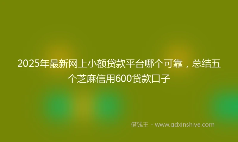 2025年最新网上小额贷款平台哪个可靠，总结五个芝麻信用600贷款口子