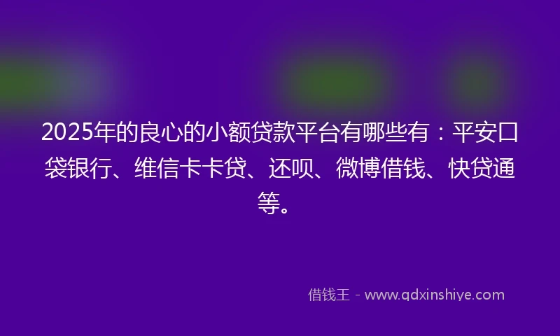 2025年的良心的小额贷款平台有哪些有：平安口袋银行、维信卡卡贷、还呗、微博借钱、快贷通等。