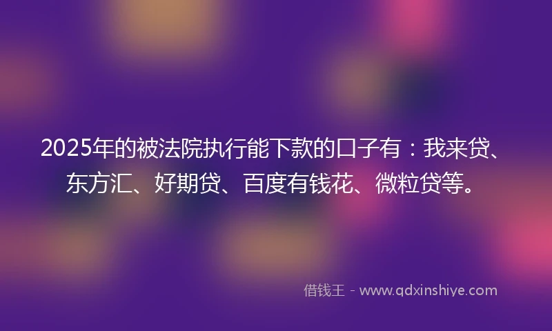 2025年的被法院执行能下款的口子有：我来贷、东方汇、好期贷、百度有钱花、微粒贷等。