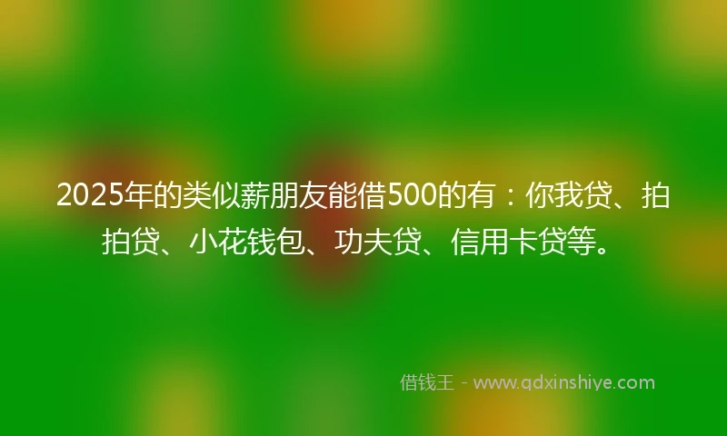 2025年的类似薪朋友能借500的有：你我贷、拍拍贷、小花钱包、功夫贷、信用卡贷等。
