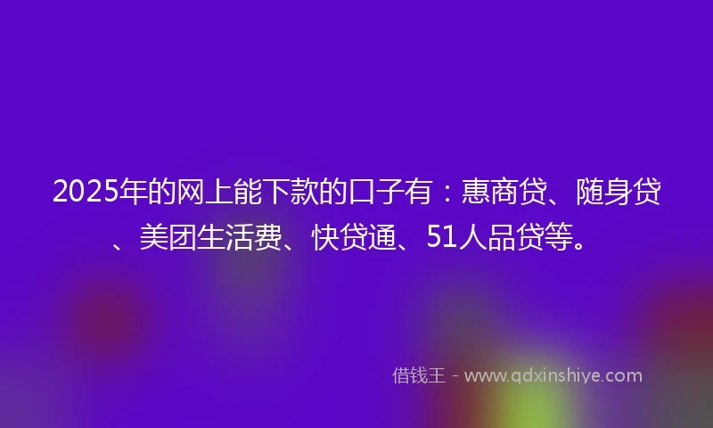 2025年的网上能下款的口子有：惠商贷、随身贷、美团生活费、快贷通、51人品贷等。
