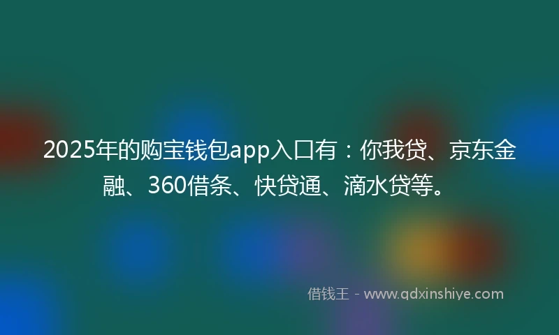 2025年的购宝钱包app入口有：你我贷、京东金融、360借条、快贷通、滴水贷等。