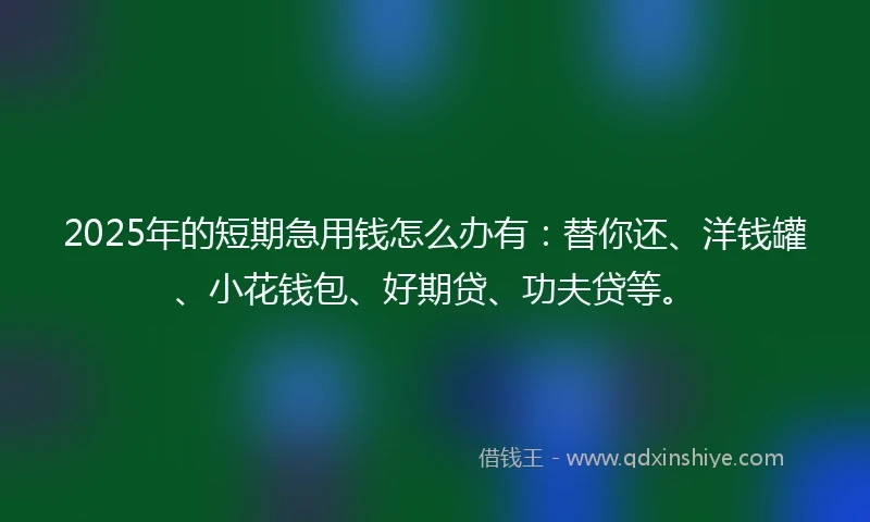 2025年的短期急用钱怎么办有：替你还、洋钱罐、小花钱包、好期贷、功夫贷等。