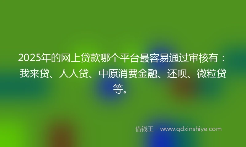 2025年的网上贷款哪个平台最容易通过审核有：我来贷、人人贷、中原消费金融、还呗、微粒贷等。