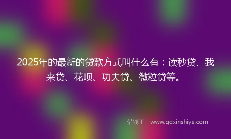 2025年的最新的贷款方式叫什么有：读秒贷、我来贷、花呗、功夫贷、微粒贷等。