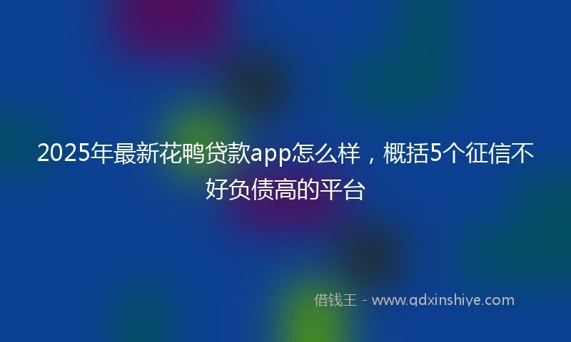 2025年最新花鸭贷款app怎么样，概括5个征信不好负债高的平台