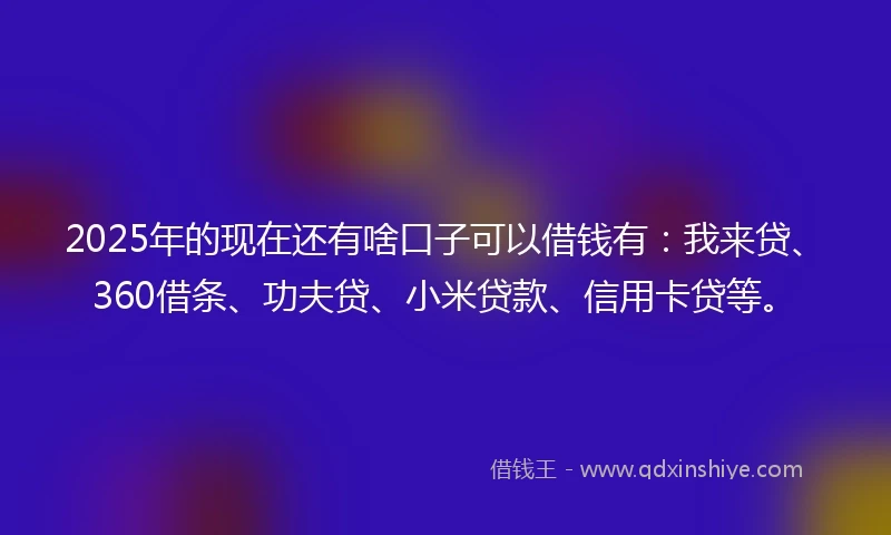 2025年的现在还有啥口子可以借钱有：我来贷、360借条、功夫贷、小米贷款、信用卡贷等。