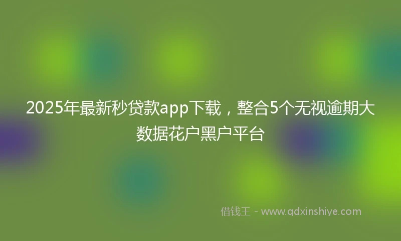 2025年最新秒贷款app下载，整合5个无视逾期大数据花户黑户平台