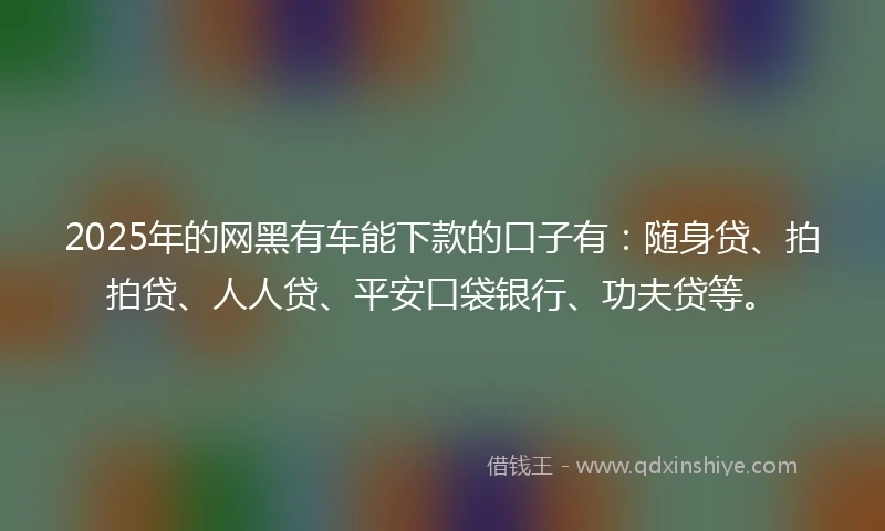 2025年的网黑有车能下款的口子有：随身贷、拍拍贷、人人贷、平安口袋银行、功夫贷等。
