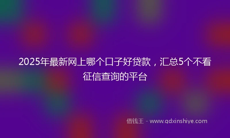 2025年最新网上哪个口子好贷款，汇总5个不看征信查询的平台