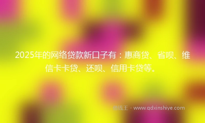 2025年的网络贷款新口子有：惠商贷、省呗、维信卡卡贷、还呗、信用卡贷等。