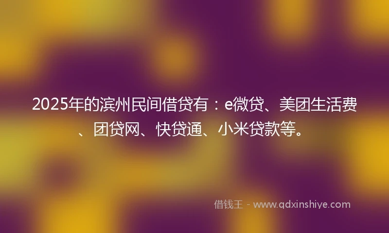 2025年的滨州民间借贷有:e微贷、美团生活费、团贷网、快贷通、小米贷款等。