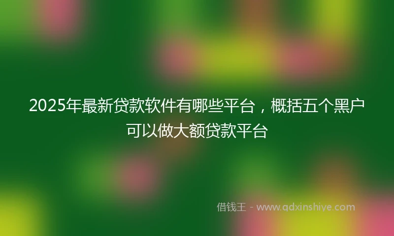 2025年最新贷款软件有哪些平台，概括五个黑户可以做大额贷款平台