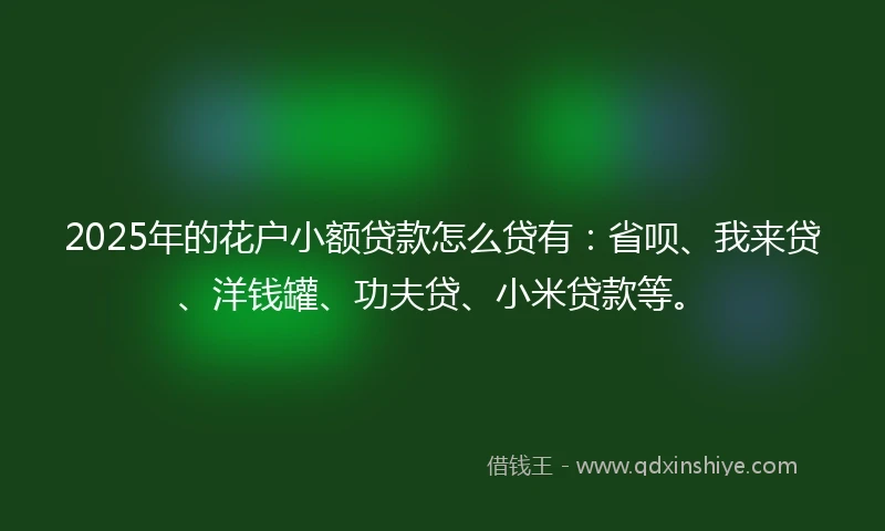 2025年的花户小额贷款怎么贷有：省呗、我来贷、洋钱罐、功夫贷、小米贷款等。