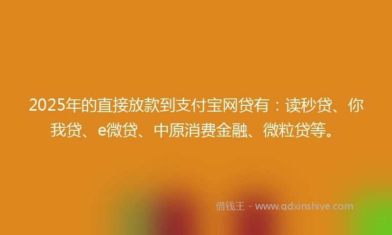 2025年的直接放款到支付宝网贷有：读秒贷、你我贷、e微贷、中原消费金融、微粒贷等。